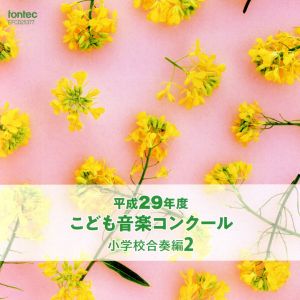 平成29年度こども音楽コンクール 小学校合奏編2