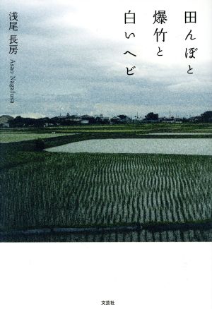 田んぼと爆竹と白いヘビ