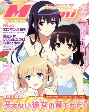 Megami MAGAZINE(2017年6月号) 月刊誌