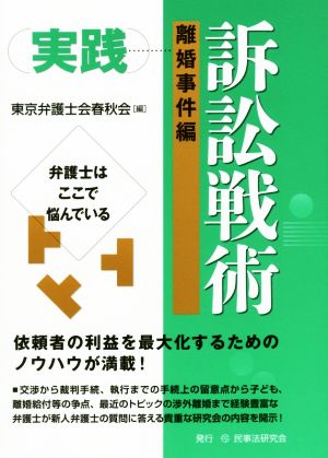 実践 訴訟戦術 離婚事件編 弁護士はここで悩んでいる