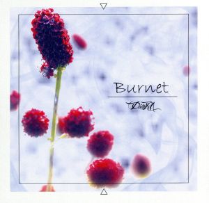 Burnet