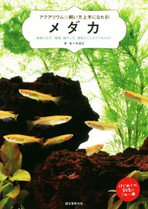 メダカ 飼育の仕方、環境、殖やし方、病気のことがすぐわかる！ アクアリウム☆飼い方上手になれる！