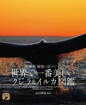 世界で一番美しいクジラ&イルカ図鑑 絶景・秘境に息づく ネイチャー・ミュージアム