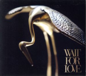 【輸入盤】Wait for Love