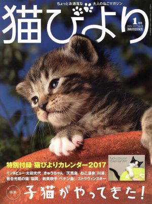 猫びより(No.91 2017年1月号) 隔月刊誌