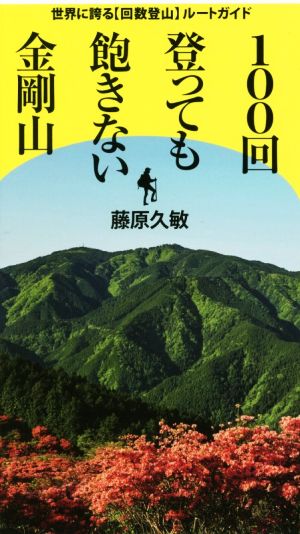 100回登っても飽きない金剛山 世界に誇る【回数登山】ルートガイド