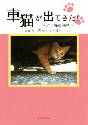 車猫が出てきた！ ～ノラ猫の秘密～