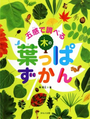 五感で調べる木の葉っぱずかん 見る知る考えるずかん