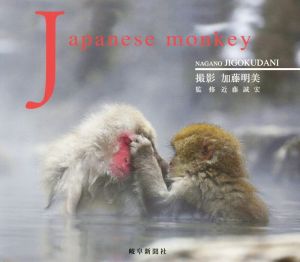 写真集 Japanese monkey NAGANO JIGOKUDANI