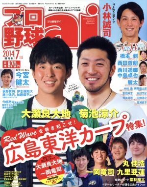 プロ野球 ai(2014 7 JUL) 隔月刊誌