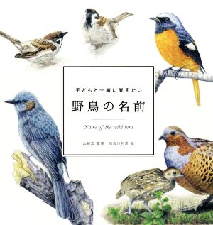 子どもと一緒に覚えたい 野鳥の名前 momo book