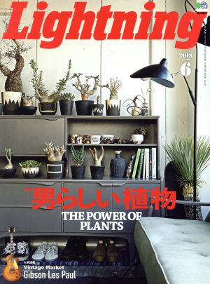 Lightning(2018年6月号) 月刊誌