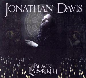 【輸入盤】Black Labyrinth