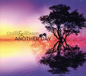 【輸入盤】Another Day