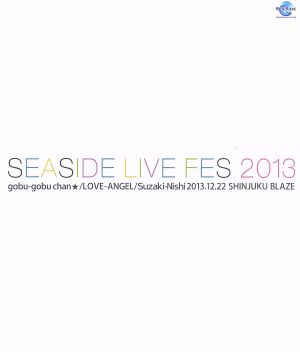 SEASIDE LIVE FES 2013(Blu-ray Disc)