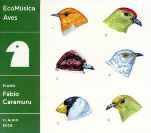 EcoMusica ｜ Aves