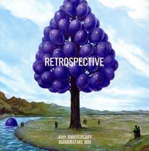 45th ANNIVERSARY 葡萄畑BOX RETROSPECTIVE(4SHM-CD)