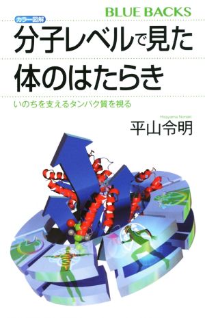 カラー図解 分子レベルで見た体のはたらき いのちを支えるタンパク質を視る ブルーバックス