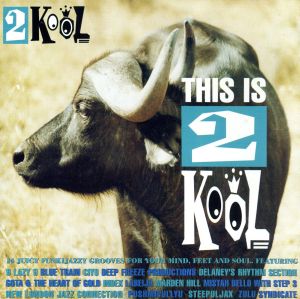 【輸入盤】THIS IS 2 KOOL