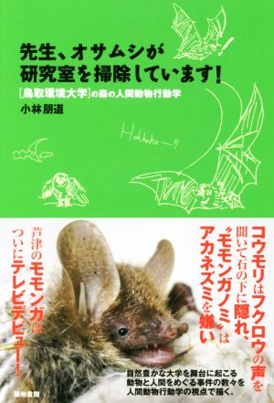 先生、オサムシが研究室を掃除しています！ [鳥取環境大学]の森の人間動物行動学