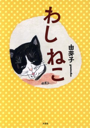 わしねこ