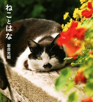 写真集 ねことはな IWAGO'S BOOK