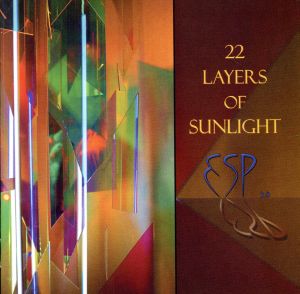 【輸入盤】22 Layers Of Sunlight