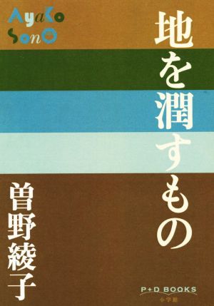 地を潤すもの P+D BOOKS