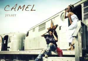 CAMEL(DVD付)