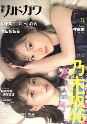 別冊カドカワ DirecT(13) カドカワムック