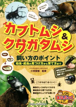 カブトムシ&クワガタムシ 飼い方のポイント 幼虫・成虫の見つけ方から育て方まで まなぶっく