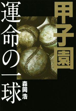 甲子園運命の一球