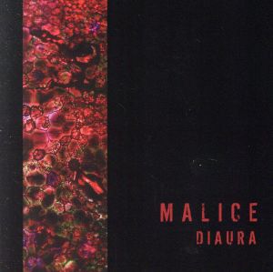 MALICE(A TYPE)(DVD付)