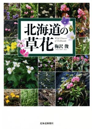 北海道の草花