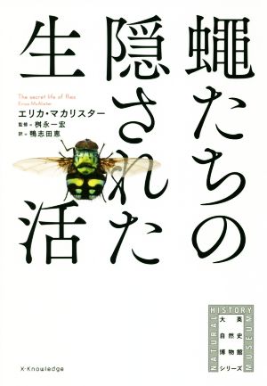 蠅たちの隠された生活