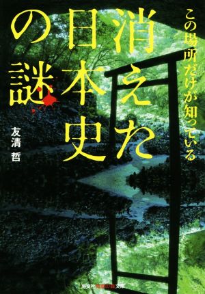 消えた日本史の謎 この場所だけが知っている 光文社知恵の森文庫