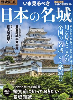 歴史REAL いま見るべき日本の名城 洋泉社MOOK