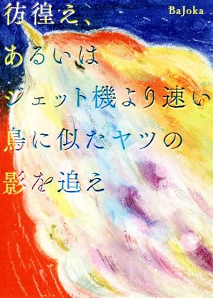 彷徨え、あるいはジェット機より速い鳥に似たヤツの影を追え