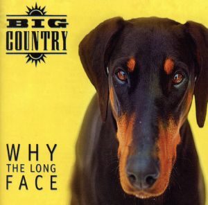 【輸入盤】WHY THE LONG FACE:4CD DELUXE EXPANDED BOXSET