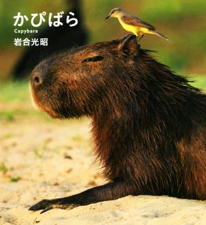 写真集 かぴばら IWAGO'S BOOK