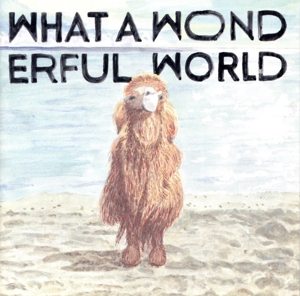 What A Wonderful World