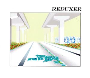 【輸入盤】Reduxer