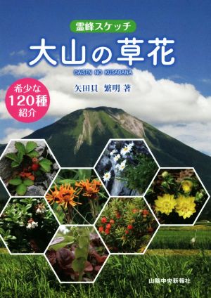 霊峰スケッチ 大山の草花