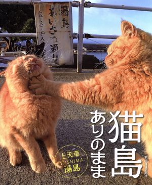 写真集 猫島ありのまま