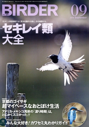 BIRDER(2018年9月号) 月刊誌