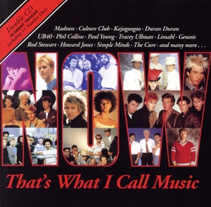 【輸入盤】Now That's What I Call Music！ 1