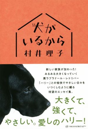 犬がいるから