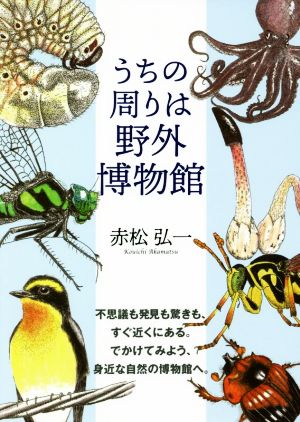 うちの周りは野外博物館