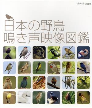 日本の野鳥 鳴き声映像図鑑(Blu-ray Disc) 中古DVD・ブルーレイ