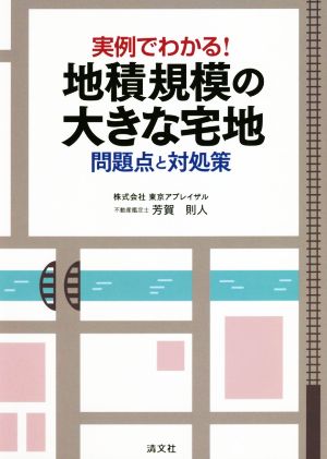 実例でわかる！地積規模の大きな宅地 問題点と対処策